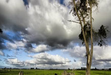 关于菲尼克斯太阳迎NBA季后赛关键赛，冲刺阶段回应争议，信心回归，身体对抗强度拉满的信息